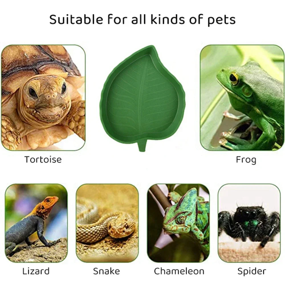 Leaf Shape Reptile Feeder Food Water Bowl For Small Pets