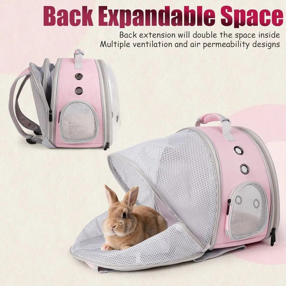 Back Expandable Backpack for Small Animals