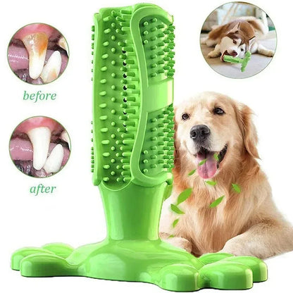 Cactus Interactive Rubber Chew Toys