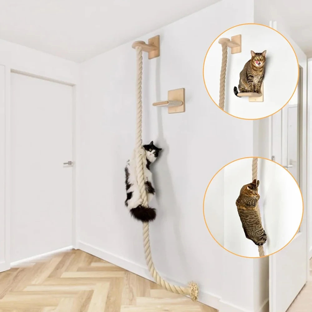 Climbing Shelf and Rope Tree Wall Mounted