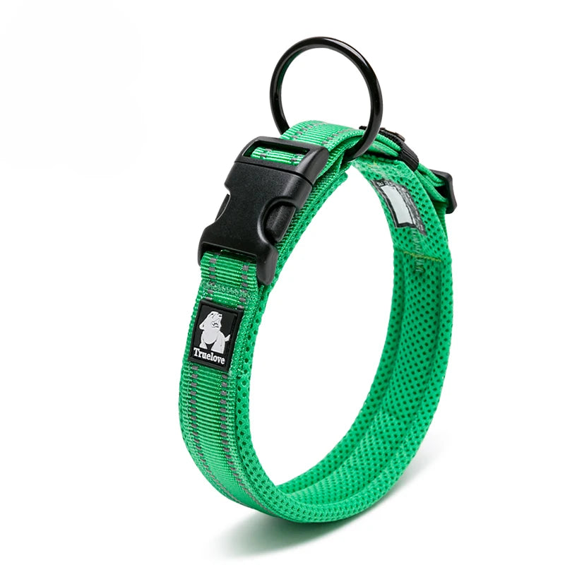 Walking Collar Comfort Padded with Buckle