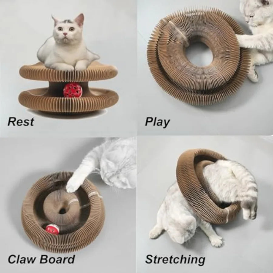Magic Organ for Indoor Cats Foldable