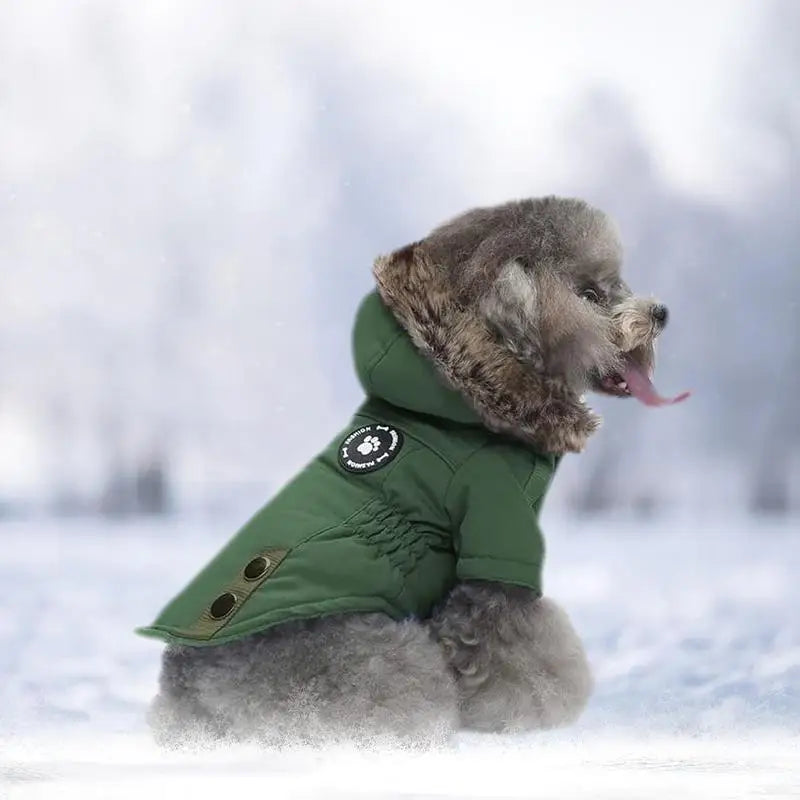 Down Jacket Hoodie Warm Clothing For Winter