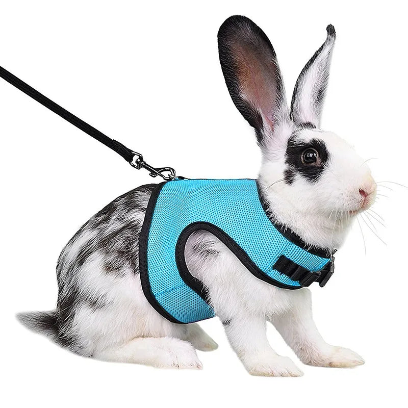 Mesh Breathable Ferret Bunny Harness Leash Set
