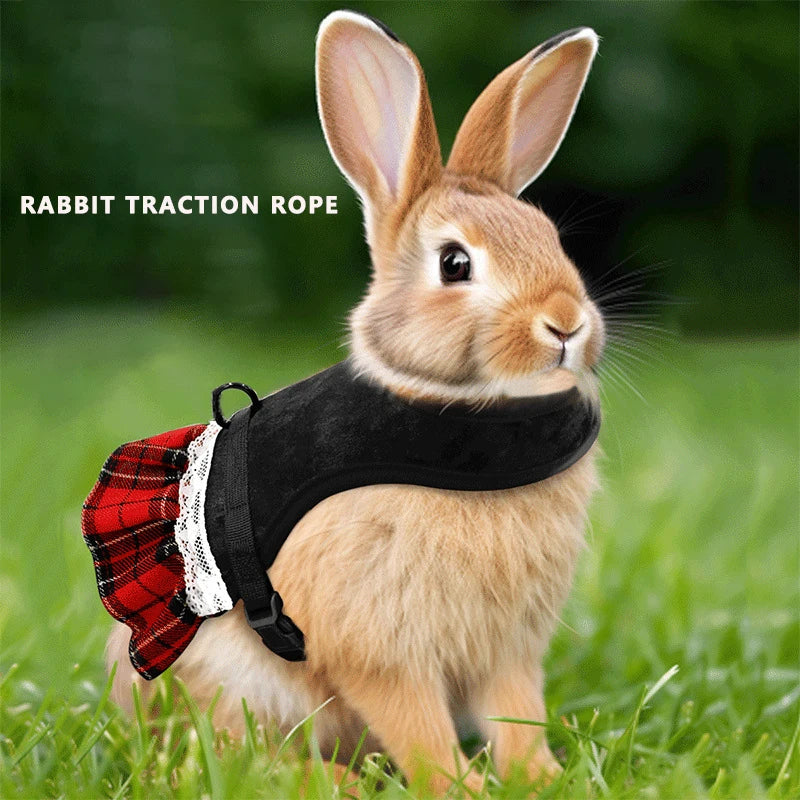 Cute Rabbit Chest  Harness with Leash