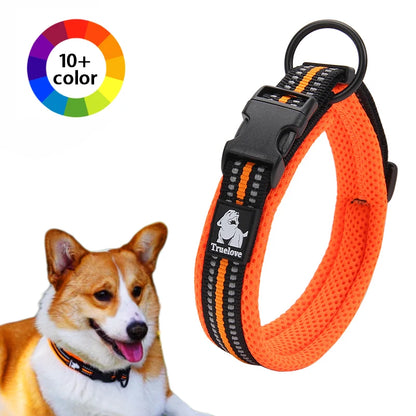 Walking Collar Comfort Padded with Buckle
