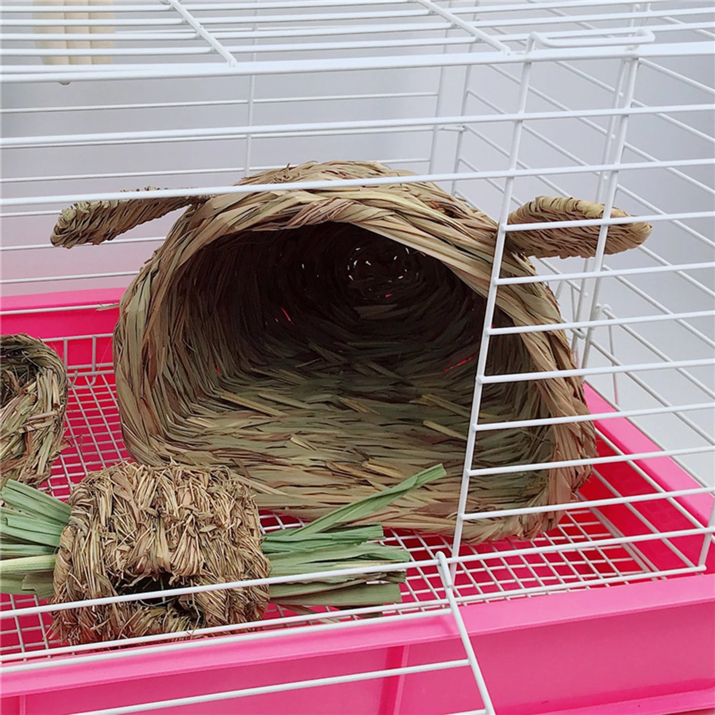 Rabbit Straw House