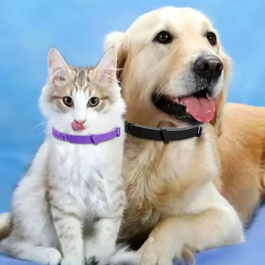 Adjustable Waterproof Plastic Dog Collar for Small Medium Large