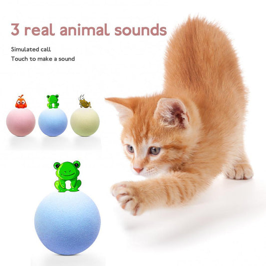 Kitten playing with a blue ball featuring animal sounds on a white background