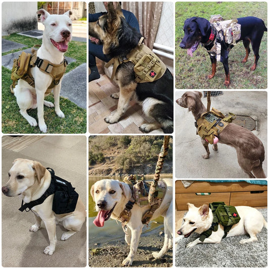Large Dog Harness Training Vests
