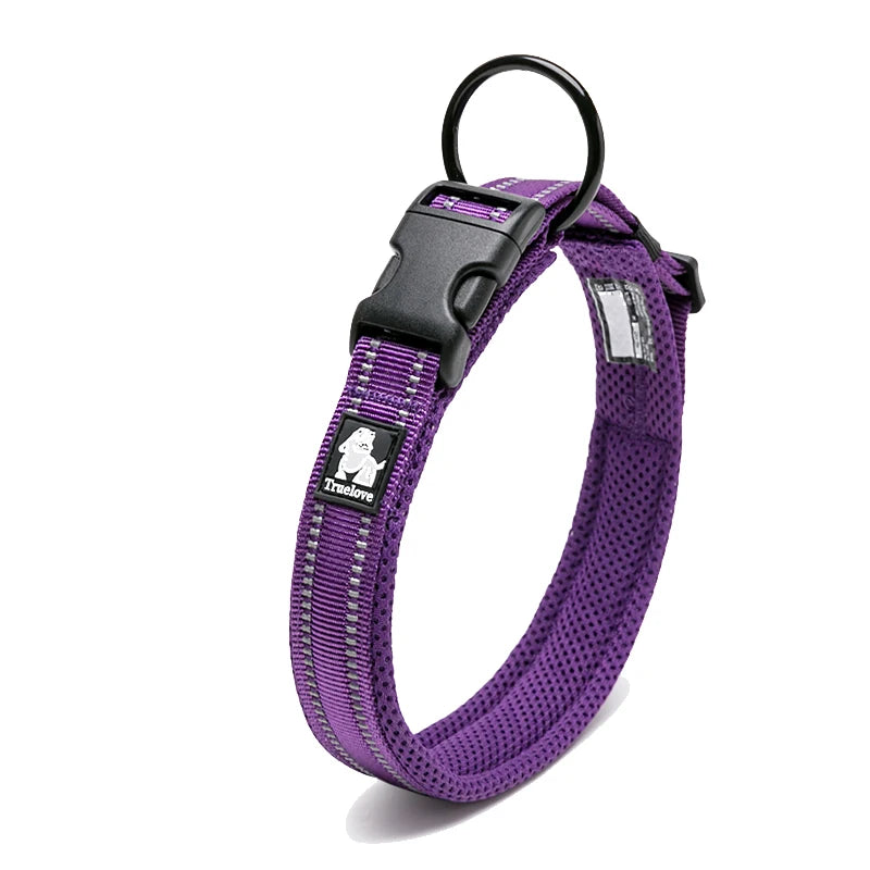 Walking Collar Comfort Padded with Buckle