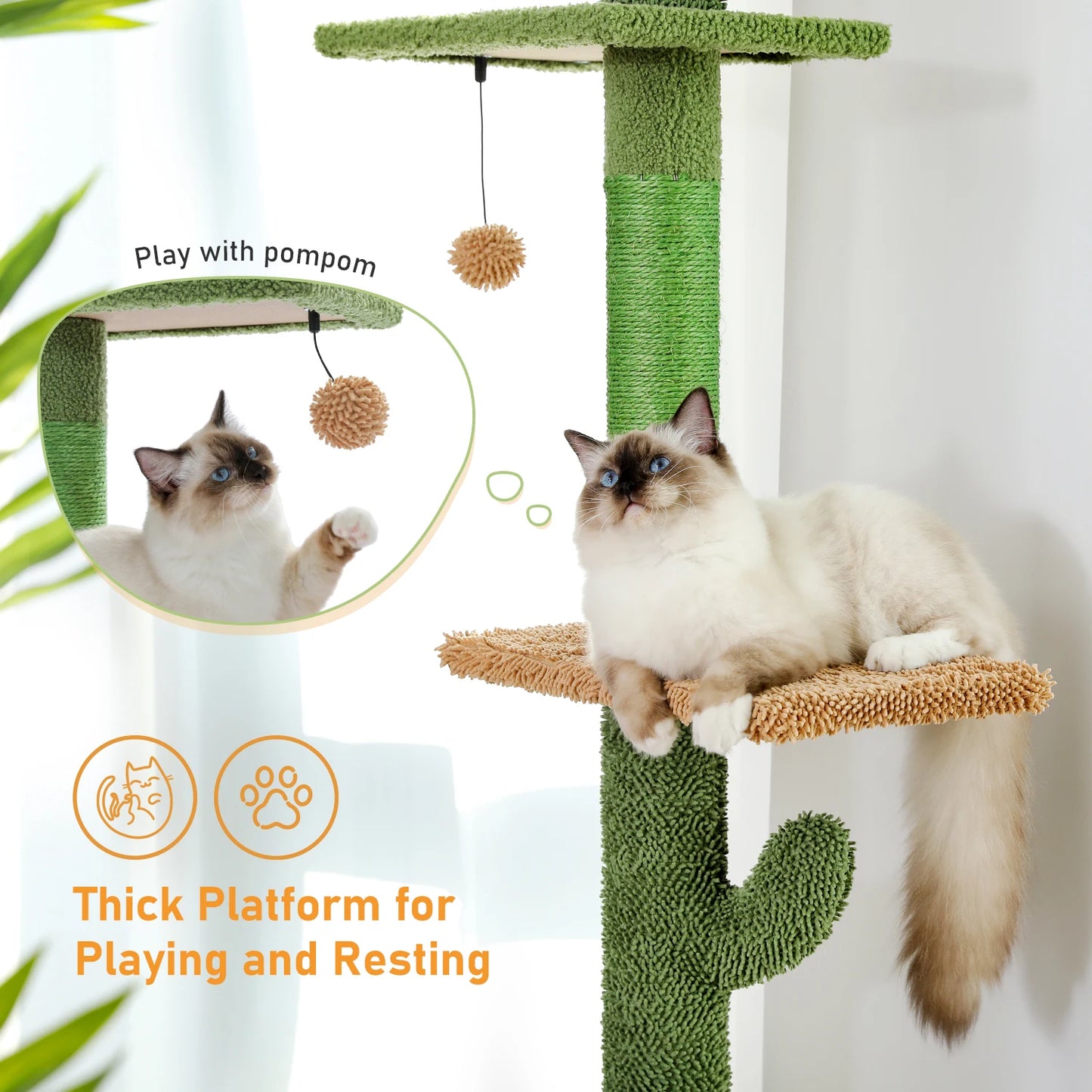 Cat Tree 5-Tier Floor to Ceiling Cactus