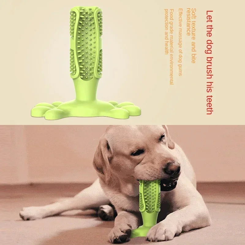 Cactus Interactive Rubber Chew Toys