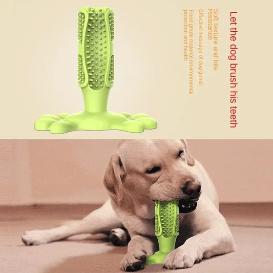 Cactus Interactive Rubber Chew Toys