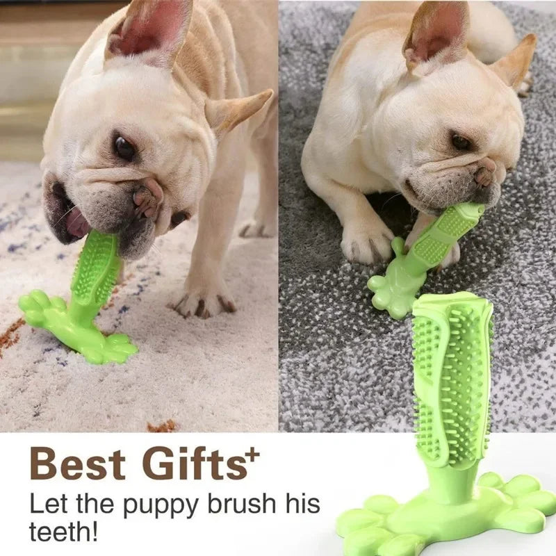 Cactus Interactive Rubber Chew Toys