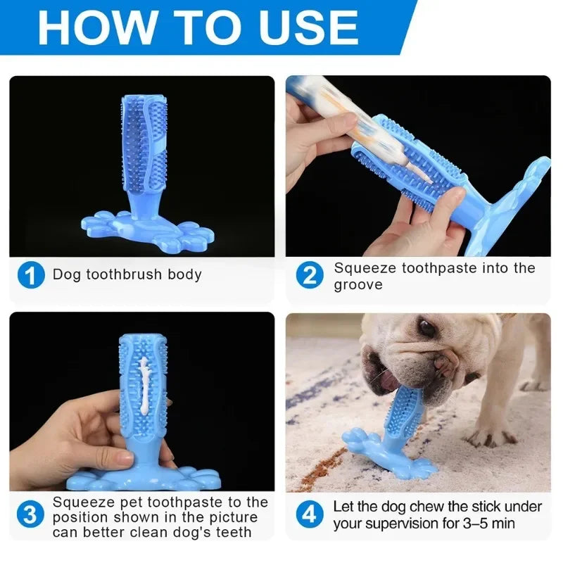 Cactus Interactive Rubber Chew Toys