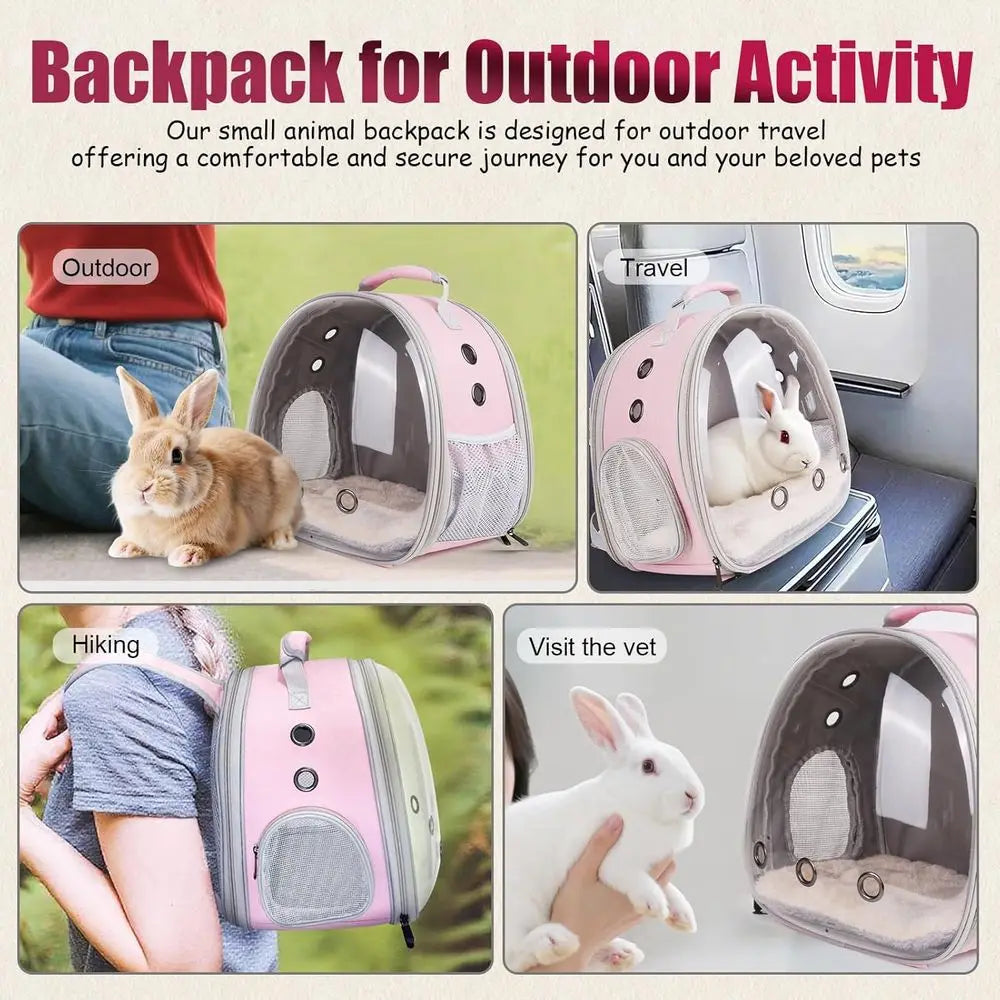 Back Expandable Backpack for Small Animals