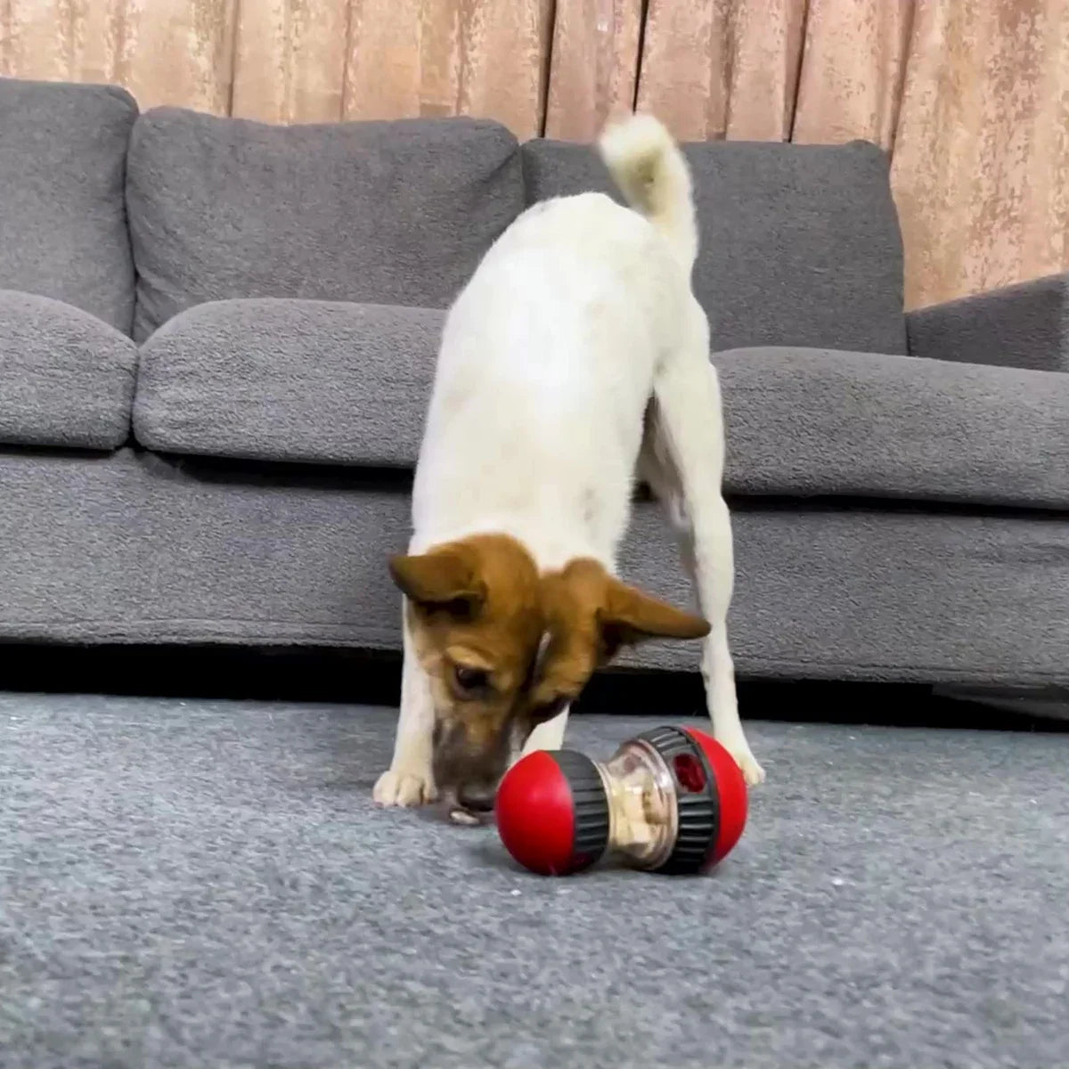 Toy Improve IQ Interactive Puppy Toy