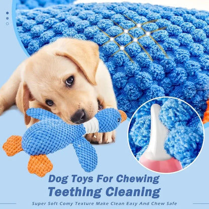Indestructible Toy for Aggressive Chewers, Squeak Toy, Interactive