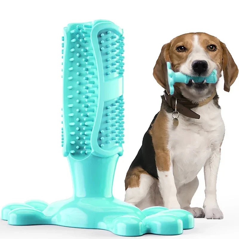 Cactus Interactive Rubber Chew Toys