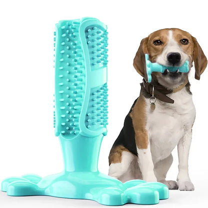 Cactus Interactive Rubber Chew Toys