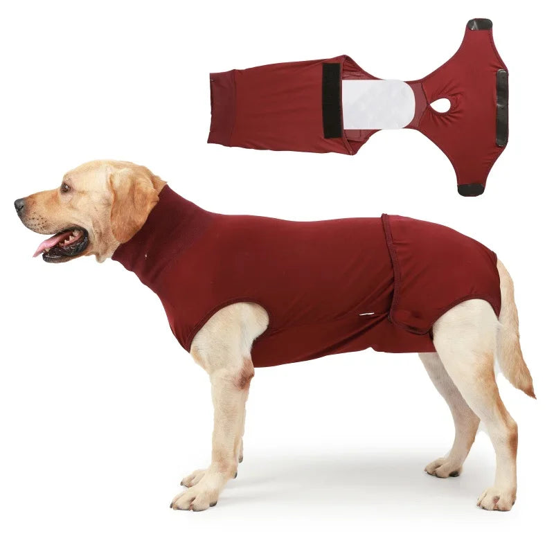 Recovery Suit for After Surgery Prevents Licking