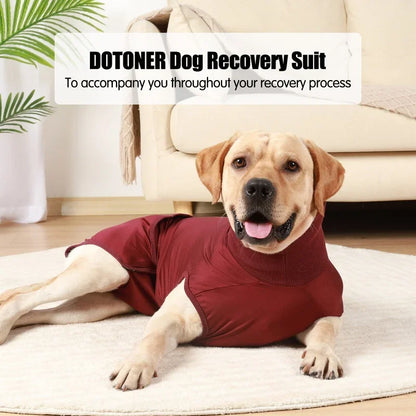 Recovery Suit for After Surgery Prevents Licking