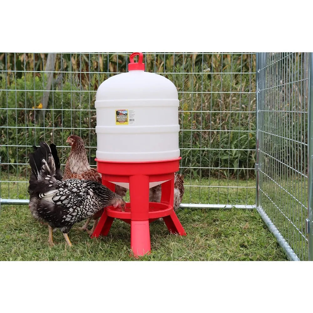 Little Giant Plastic Dome Poultry Waterer, Gravity Fed Container