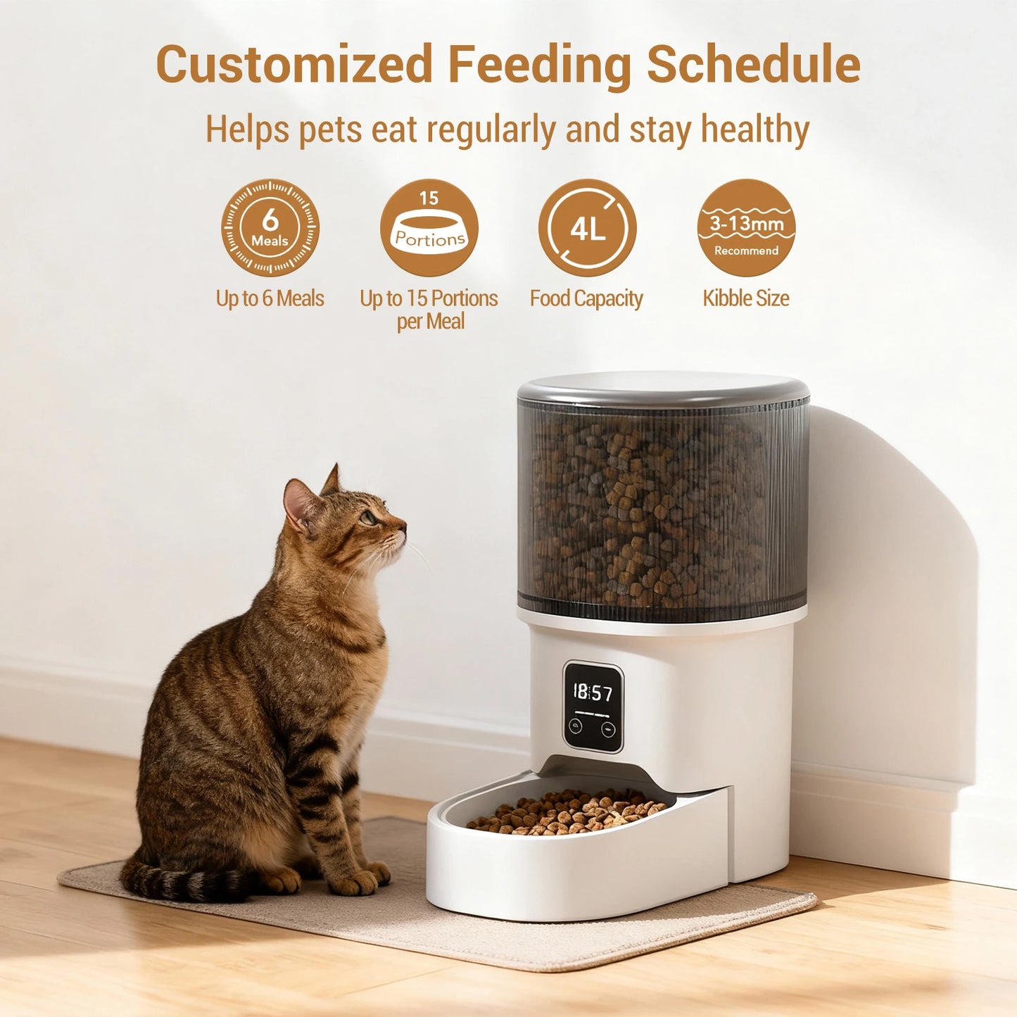 Programmable 4L Automatic Pet Feeder Up to 6 Meals Daily