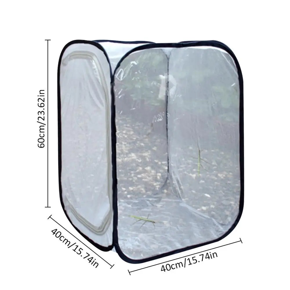 Butterfly Habitat