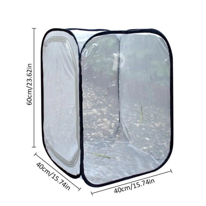 Butterfly Habitat