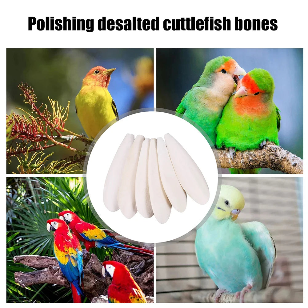 Cuttlefish Bone Parrot Chewing Toy