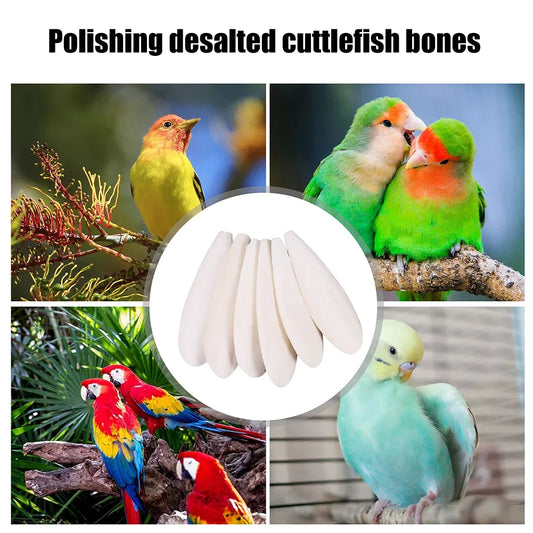 Cuttlefish Bone Parrot Chewing Toy
