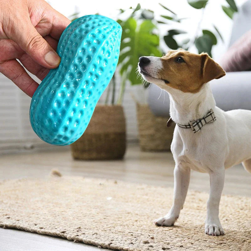 Chewing Toy Peanut Squeaking Anti Bite Rubber