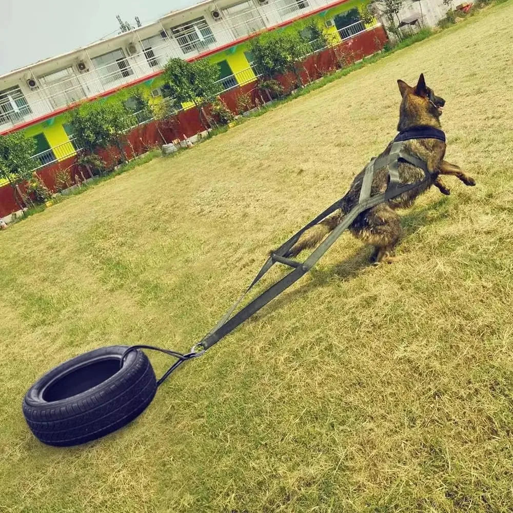 Large Working Dog Pull Sled for Behavior Training