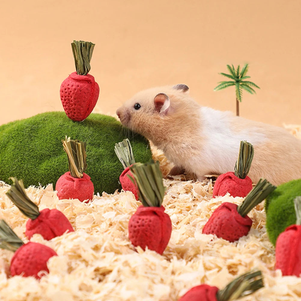 3Pcs Hamster Molar Toy Tooth Molding Strawberry