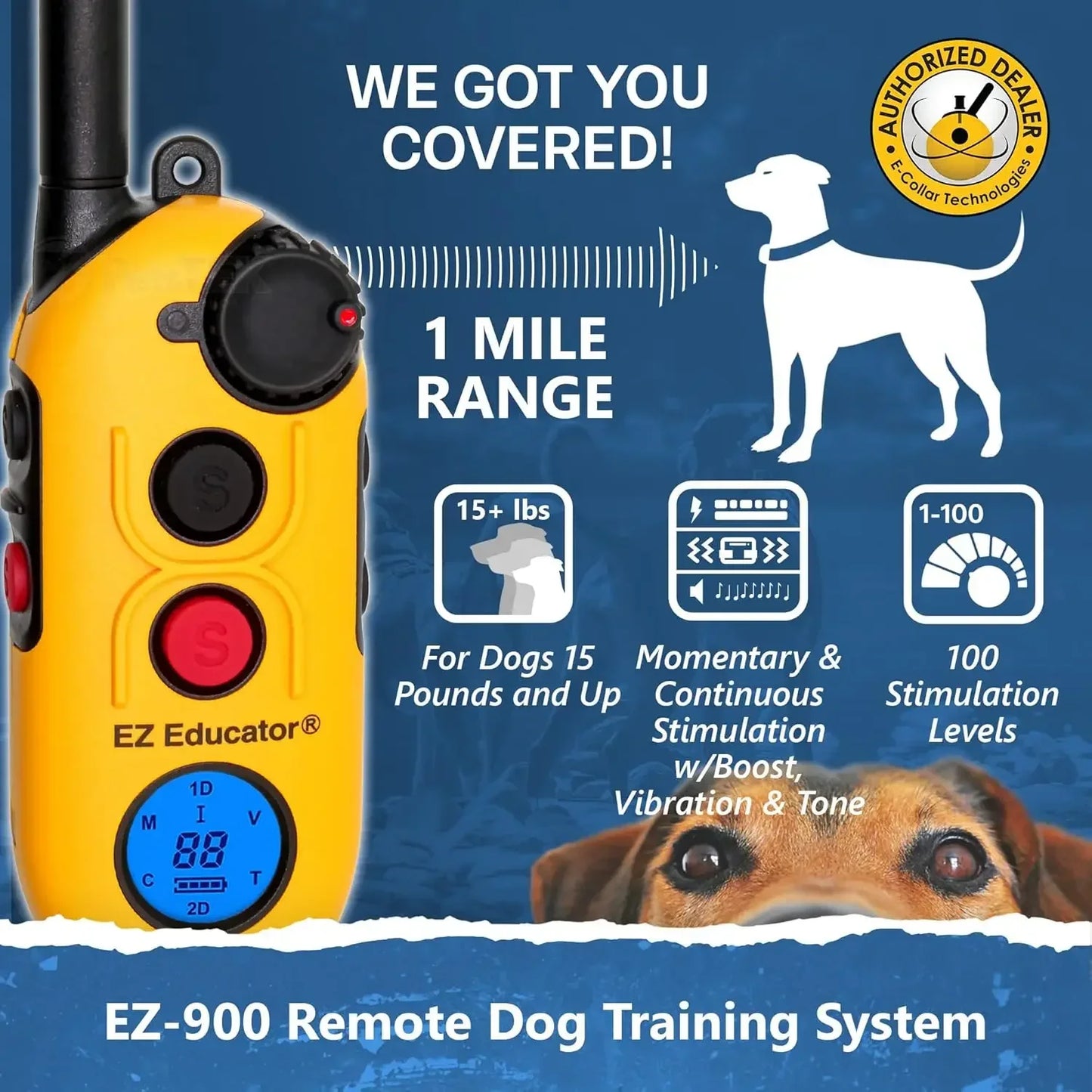 EZ-900 E Collar for Dog Training with Remote - 1/2 Mile Range Waterproof