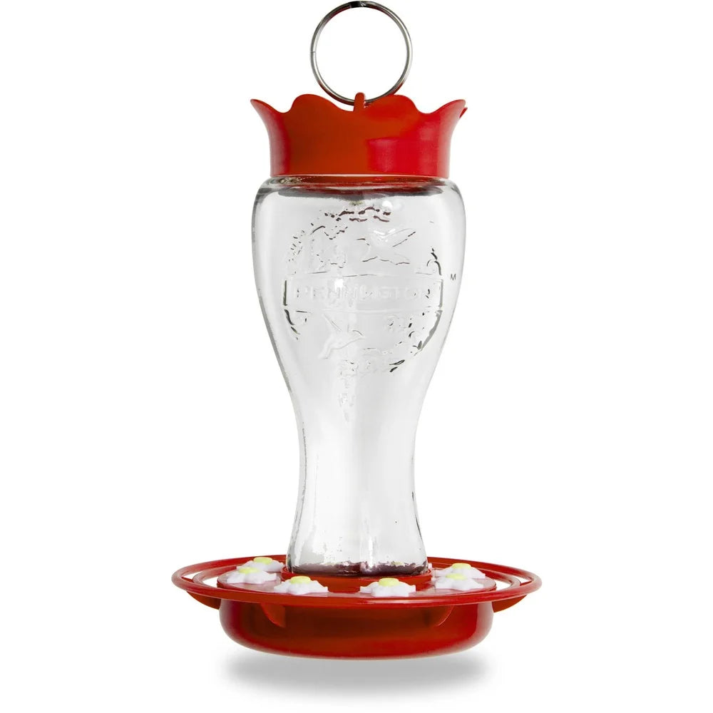 Glass Hummingbird Feeder 16 OZ