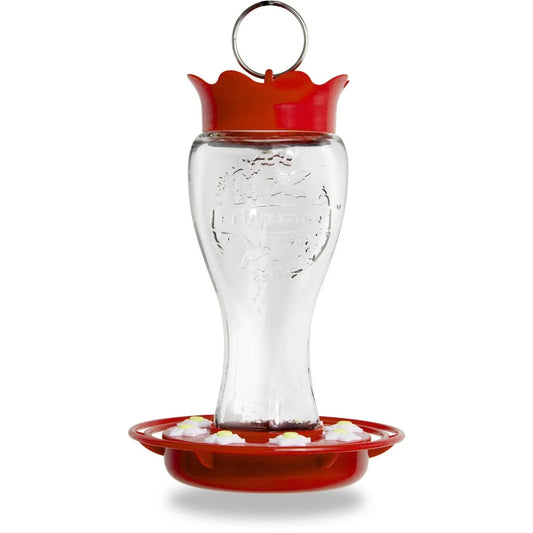 Glass Hummingbird Feeder 16 OZ