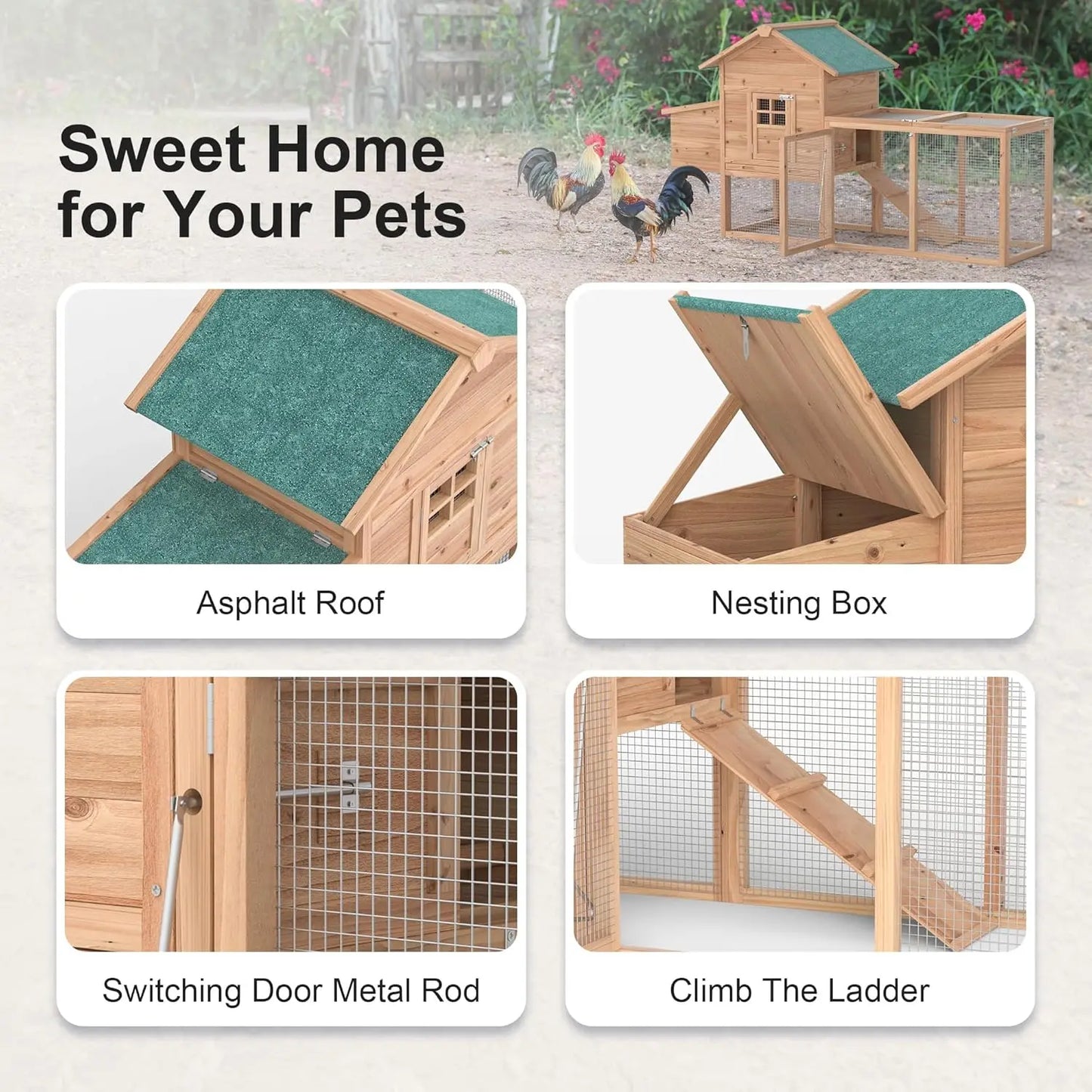 Outdoor Chicken Coop for 2-4 Chickens Wooden House