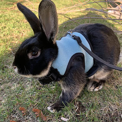 Mesh Breathable Ferret Bunny Harness Leash Set