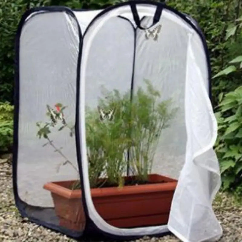 Butterfly Habitat