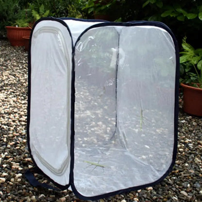 Butterfly Habitat