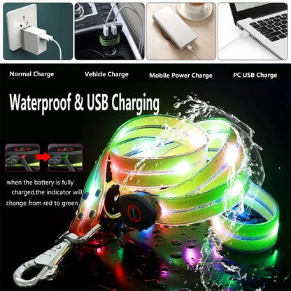 Light Up  Leash Safety Glow USB Rechargeable