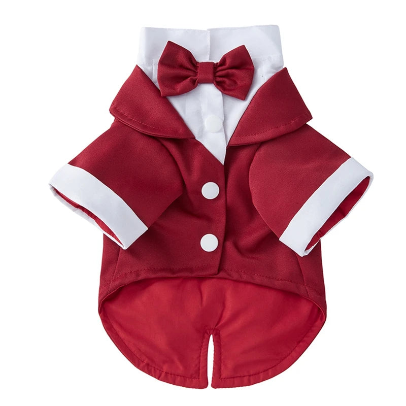 Tuxedo Wedding Party Suit for Small Medium Dogs