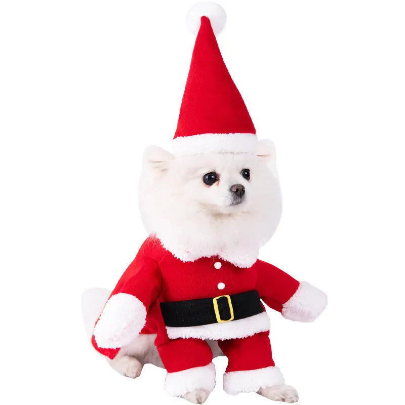 Halloween Dagger Pet Costume – Funny Knife-Holding Dress-Up Econic Blanks