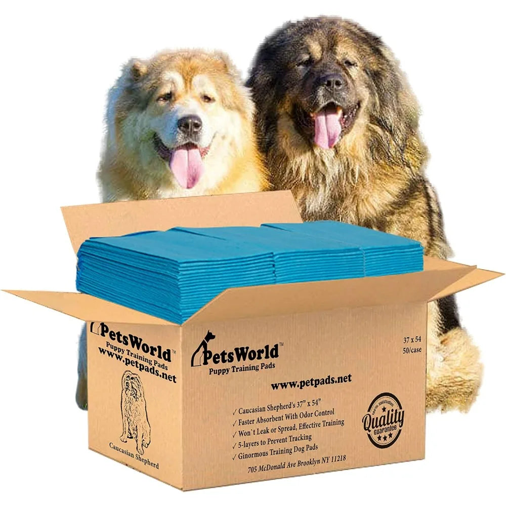 Dog Pee Pads 50 Count – XXXL