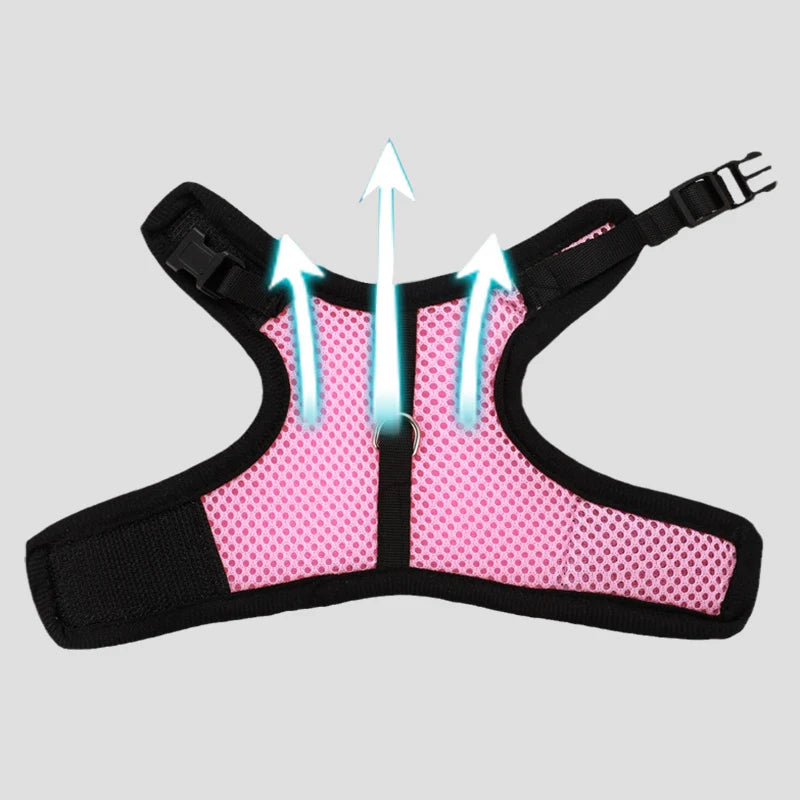 Mesh Breathable Ferret Bunny Harness Leash Set