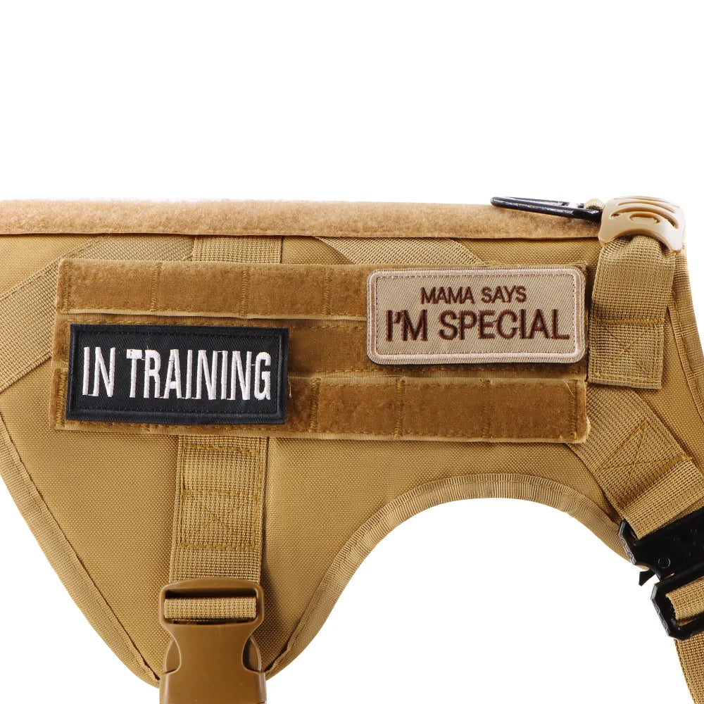 12 Pieces Tactical Patch Bundle Vest Harness Collar