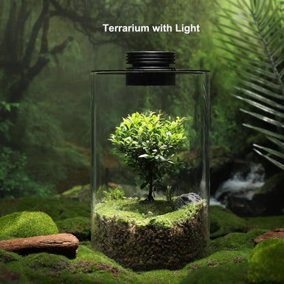 Glass Plant Terrarium with LED Grow Light Betta Fish Tank